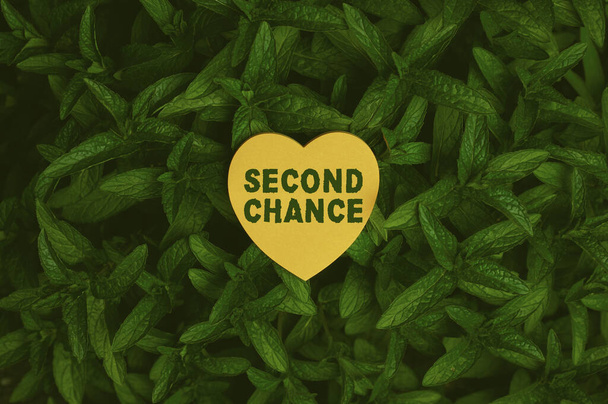 Bildunterschrift: Second Chance. Das Wort für die Gelegenheit, die jemandem gegeben wird, ermöglicht es ihm, es erneut zu versuchen.. - Foto, Bild