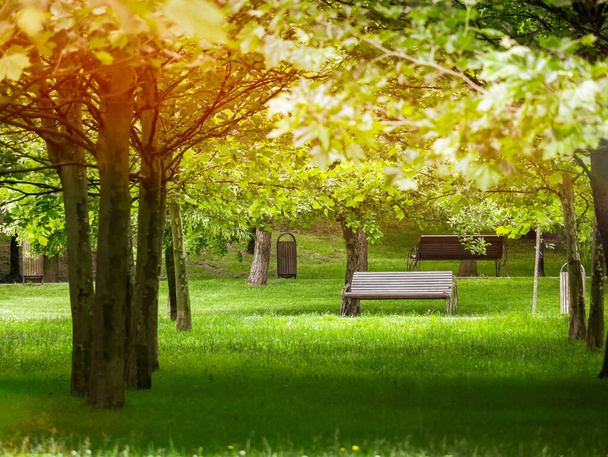 新鮮な緑の芝生、木、ベンチがある空の公園。ルーマニアのブカレストにあるAlexandru Ioan CuzaまたはTitan Park. - 写真・画像