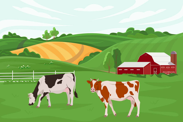 Ilustracja wektorowa hodowli krów i rolnictwa. Hodowla bydła. Letni wiejski krajobraz z farmą i krowami jedzącymi trawę. Elementy projektowe do infografik, stron internetowych i mediów drukowanych - Wektor, obraz