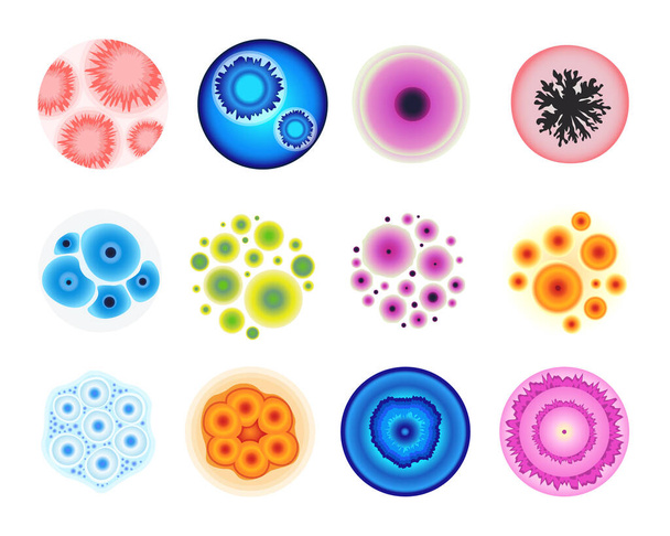 Stampo in set isolato in laboratorio. Batteri colorati, funghi, cellule o microscopio penicillina Vista in laboratorio. Germi diversi - Vettoriali, immagini