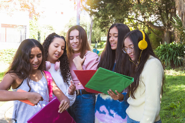 Un groupe d'amis adolescents latins souriants passe en revue leurs devoirs dans un parc. Éducation et concept de classes - Photo, image