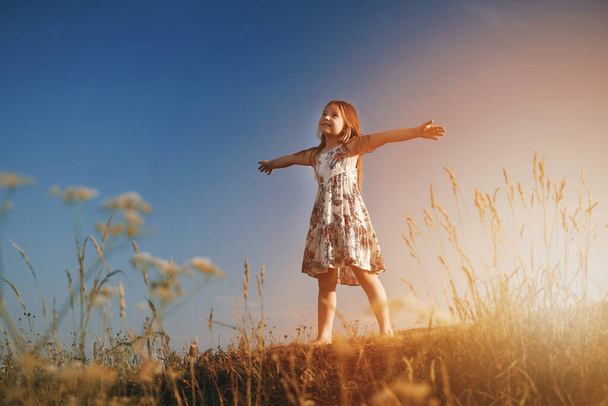 A little girl in the field with her hands up in the air - Foto, Bild