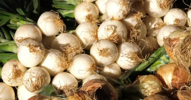 Fresh vegetables on stalls in a southern France market. Onions - Footage, Video