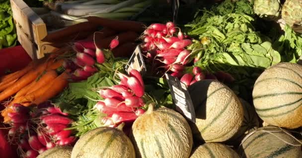 Legumes frescos em barracas em um mercado do sul da França. Melão, rabanetes saladas e cenouras - Filmagem, Vídeo