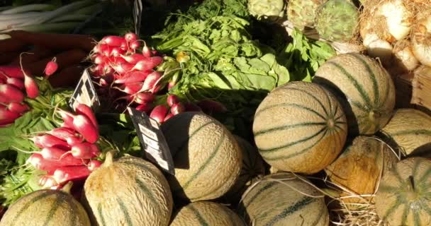 Νωπά λαχανικά σε πάγκους σε αγορά της Νότιας Γαλλίας. Πεπόνια, σαλάτες ραπάνια και καρότα - Πλάνα, βίντεο