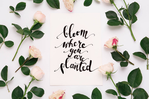 Frame of beautiful flowers and paper card with handwritten text Bloom where you are planted on white background, flat lay - Photo, Image
