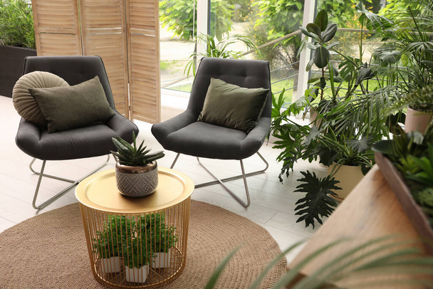 Salotto interno con comode poltrone e piante d'appartamento - Foto, immagini