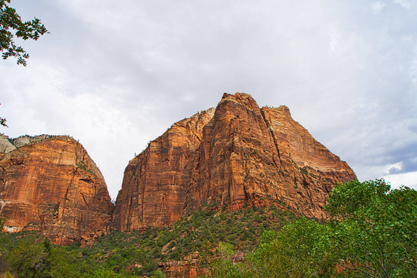 Национальный парк Зайон включает горы, реки, каньоны и природные арки. Стены каньона окрашены в красный и коричневый цвета песчаник навахо. Юта, США. 2017. - Фото, изображение