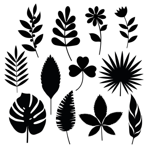 Set of leaves black stencil, vector isolated illustration. - Vector, Image