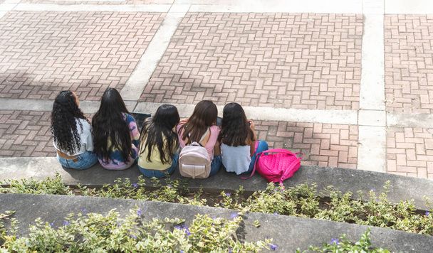 Bovenaanzicht van een groep tienermeisjes met de rug naar school in een buitenruimte - Foto, afbeelding