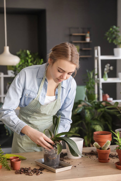 Young woman taking care of her plants at home - Foto, Imagem