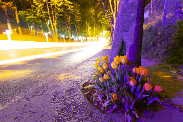 Mevlana Tomb and Konya Tulip Gardens. - Photo, Image