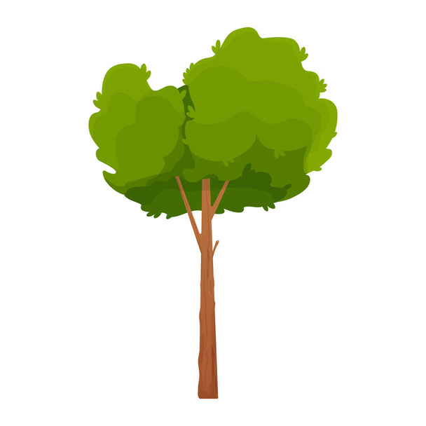 Orman karikatür ağacı, beyaz arka planda izole edilmiş çizgi film tarzında detaylı ve desenli. Uzun boylu ve ağaç gövdesi ve yeşilliği olan.. - Vektör, Görsel