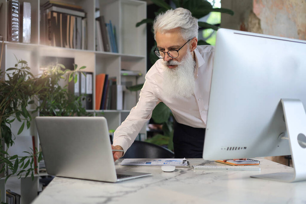 Senior businessman with a stylish beard working on laptop computer at his office desk - Fotó, kép
