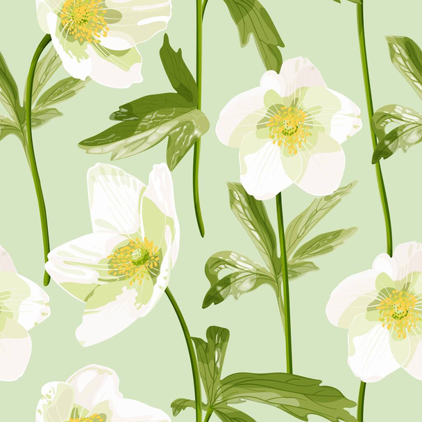 アネモネ・カナデンシス。パステルカラーの白いアネモネの花とシームレスなパターン。繊細な白い野の花。植物ストックベクトルイラスト. - ベクター画像