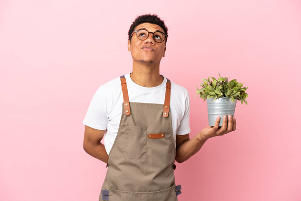 Gardener African man holding a plant isolated on pink background and looking up - Foto, immagini