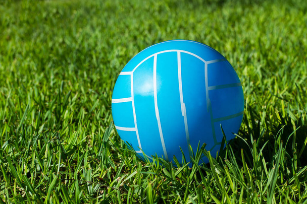 Pelota de voleibol de goma azul y blanca en la hierba - Foto, imagen