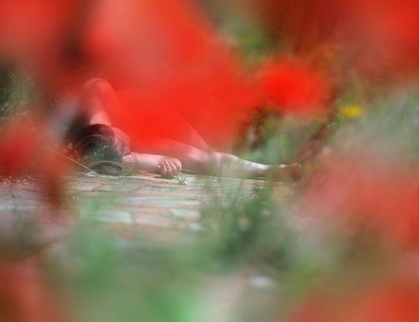 seksikäs nuori brunette nainen makaa kuolleena onnettomuuden jälkeen tai rikoksen polulla puutarhassa ympäröivät monet hämärtynyt unikot, kopioi tilaa - Valokuva, kuva