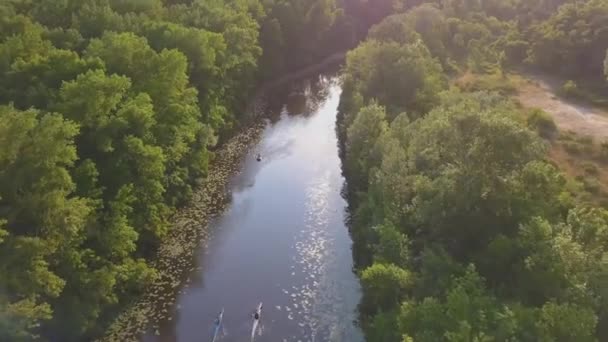Vliegen over de rivier op een zonnige heldere dag, mensen rusten op kajaks en sapa, zonneschijn in de camera - Video