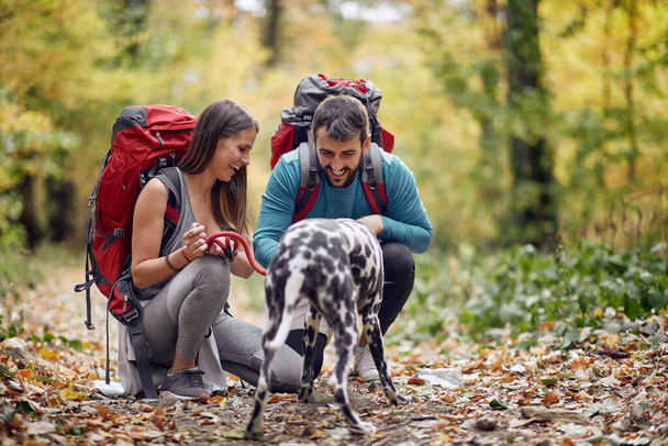 Hikers and their dog together at hiking on the hill - Foto, Imagem