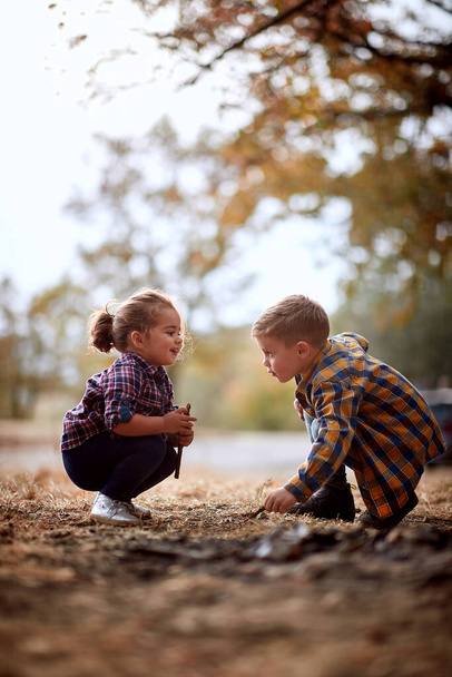 Little brother and sister excited by playing in the forest on a beautiful autumn day - Fotó, kép