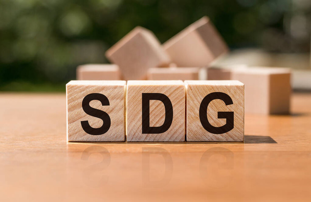 SDG or Sustainable Development Goals building wrom wooden cubes - Φωτογραφία, εικόνα