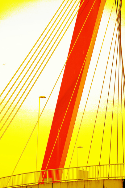 most v rotterdam, Nizozemsko - Fotografie, Obrázek