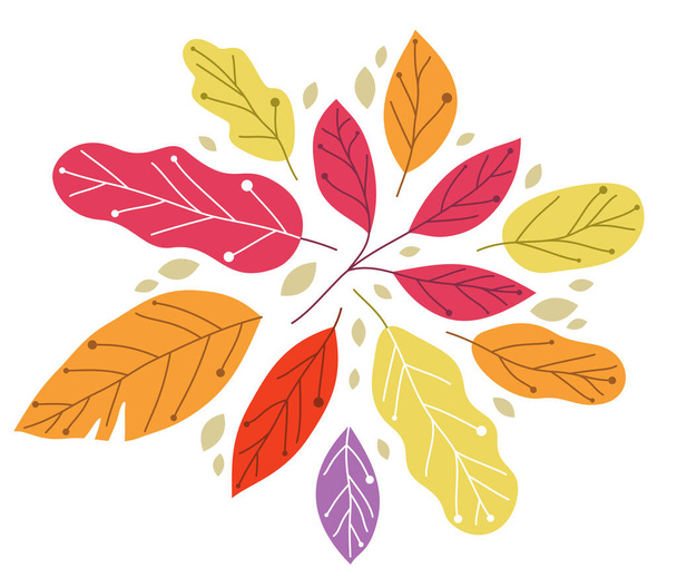 Yellow and red autumn leaves beauty of nature vector flat illustration isolated on white background, fall foliage drawing composition. - Vecteur, image