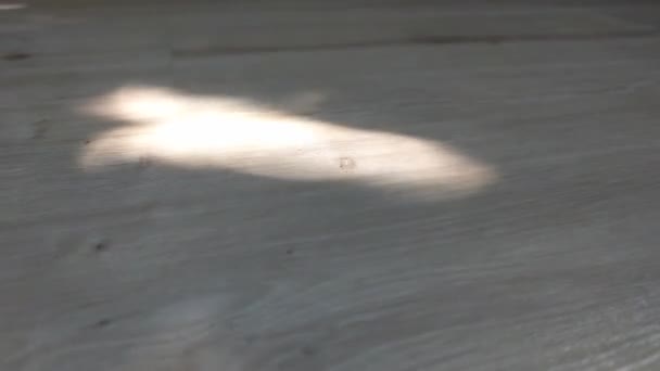 Licht van de zon valt uit het raam op de vloer - Video