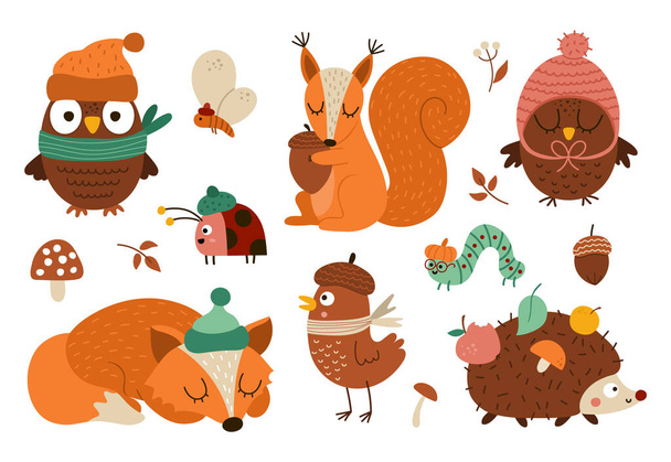 ベクトル秋の森の動物や昆虫を設定します。かわいいハリネズミ、リス、キツネ、鳥、帽子やスカーフでフクロウ。ベクトル秋または感謝祭の文字コレクション。ウッドランドのアイコンパック - ベクター画像