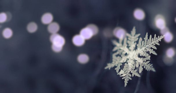 one small snowflake on a woolen macrophotography scarf, a wide horizontal banner with free text space and a soft selective focus at low depth of sharpness - Fotoğraf, Görsel