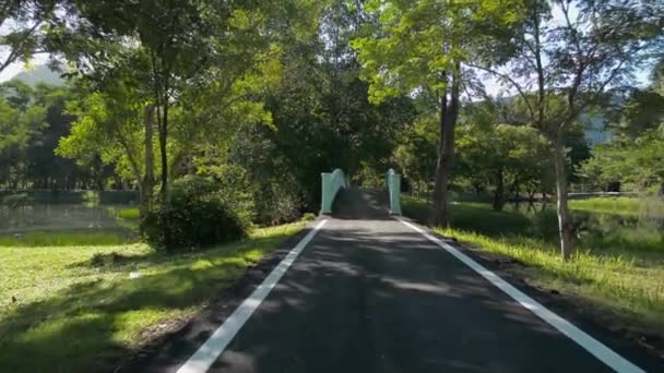 Walking along the asphalt road in public park with beautiful scenery under morning sunlight. Move forward shot to old concrete bridge over natural pond in greenery park.  - Footage, Video
