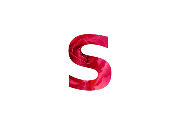 Buchstabe S des Alphabets mit einem Foto einer roten Rose, isoliert auf weißem Hintergrund - Foto, Bild
