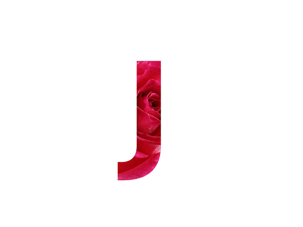 Letra J del alfabeto hecha con una foto de una rosa roja, aislada sobre un fondo blanco - Foto, Imagen