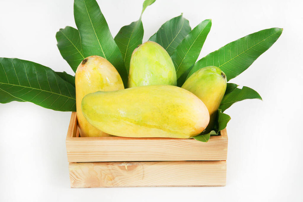 Frutti freschi di mango su sfondo bianco  - Foto, immagini