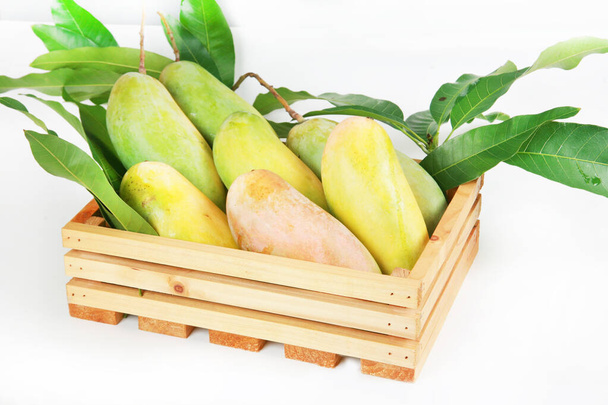 fresh mango fruits on white background  - Zdjęcie, obraz