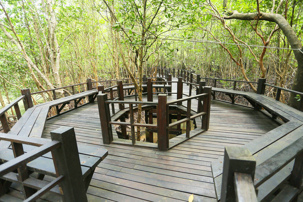 drewniany most w lesie - Zdjęcie, obraz