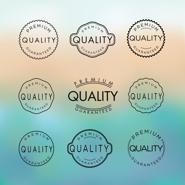 Collection of Premium Quality and Guarantee Labels - ベクター画像