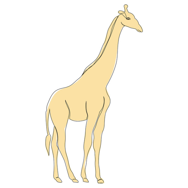yellow giraffe line drawing, picture, isolated - Vector, Image
