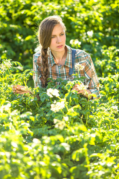 Gardening woman - Zdjęcie, obraz