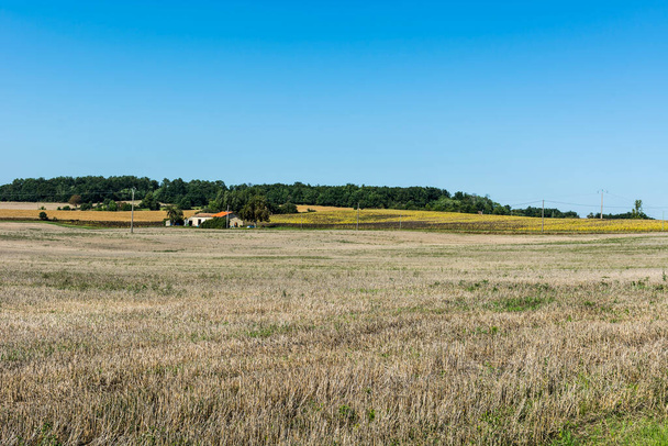 Vadlá slunečnicová pole a chudý statek na orné půdě po sklizni ve Francii - Fotografie, Obrázek