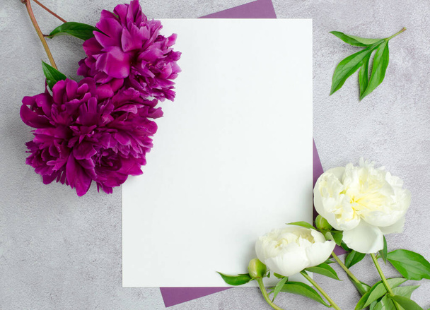Κενό για μια ευχετήρια κάρτα ή πρόσκληση. Λευκό λευκό λευκό χαρτί και παιώνιες λουλούδια σε ένα γκρι φόντο τσιμέντο. - Φωτογραφία, εικόνα