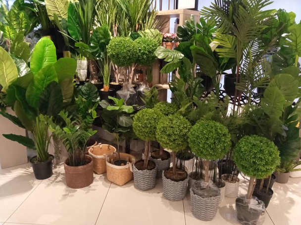 Un ramo de plantas ornamentales artificiales en una tienda de muebles - Foto, imagen