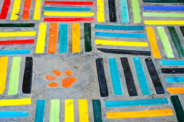 Top view on pieces of multicolored ceramic tiles decorated in garden. Old pavement of tiles textured. Street mosaic cobblestone sidewalk. Abstract,background and pattern of ceramic tile on the floor. - Photo, Image