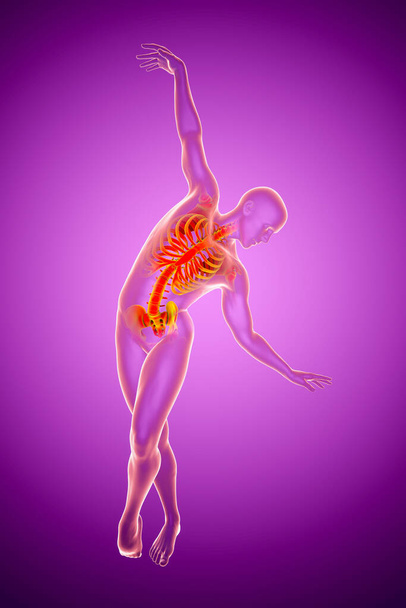 Anatomy of dancing and ballet, 3D illustration. A man in ballet pose with highlighted skeleton showing skeletal activity in ballet dancing - Photo, Image