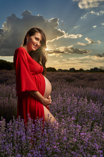 Beautiful young pregnant woman in a lavender field in full bloom - Foto, Bild