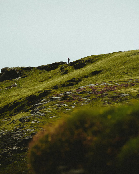 A low angle of a green hill and a man standing on the top - Foto, immagini