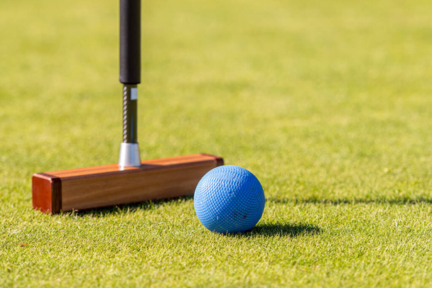croquet mallet and ball on a lgreen awn - 写真・画像
