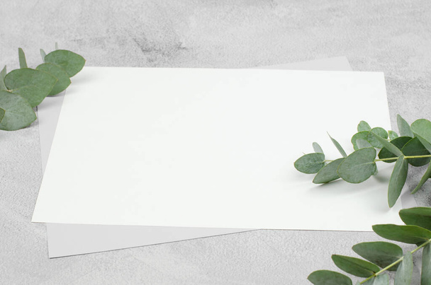 Fehér üres papírlap és eukaliptusz. Üres üdvözlőlap vagy meghívó. - Fotó, kép