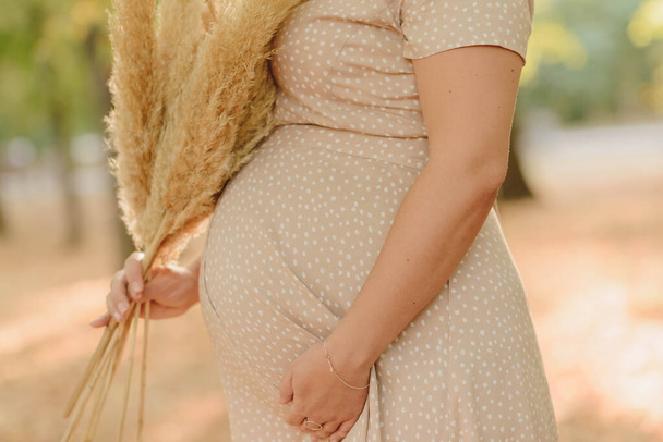 femme enceinte tenant son ventre - Photo, image